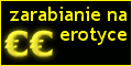 Zarabianie przez Interet na erotyce